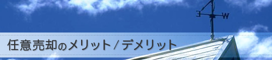 メリット/デメリット